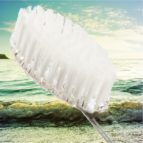Radius Big Brush Replacement Heads (2 pack)