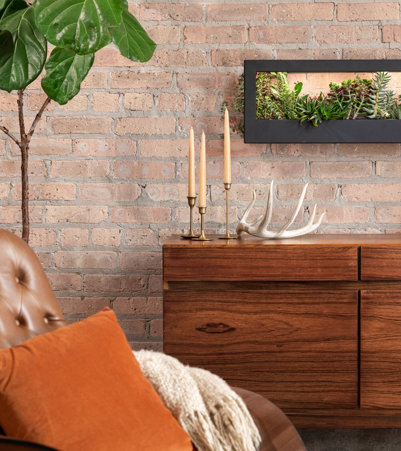 Modern Sprout Smart Landscape Growframe