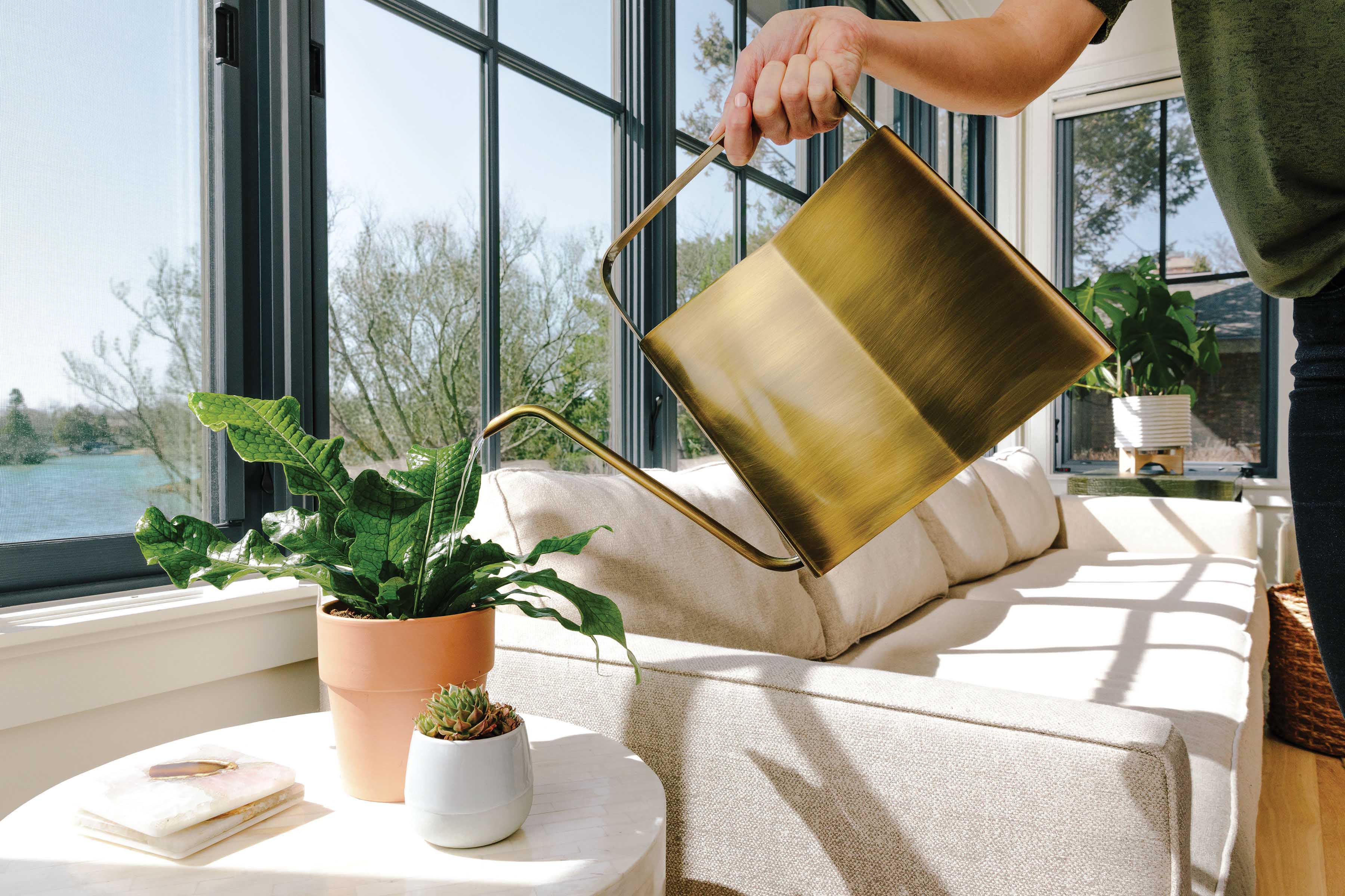 Modern Sprout Watering Cans